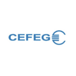 CEFEG GmbH Federn- und Verbindungstechnik